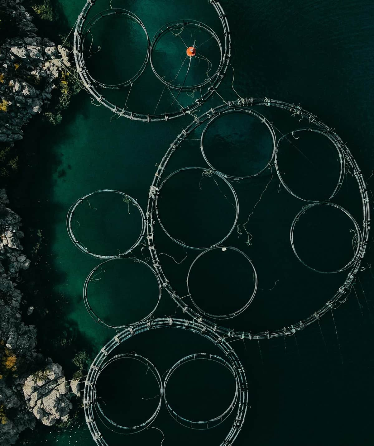 Picture from above of a fishfarming in
          turquise water